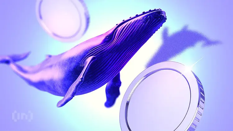 Are Ethereum Whales Betting On a Major Rally For ETH Price? Ethereum's Price Odds in 2025.