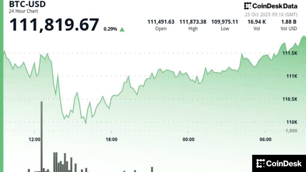 BTC Above $111,000 While Traders Await a Breakout BTC Above $111,000 While Traders Await a Breakout