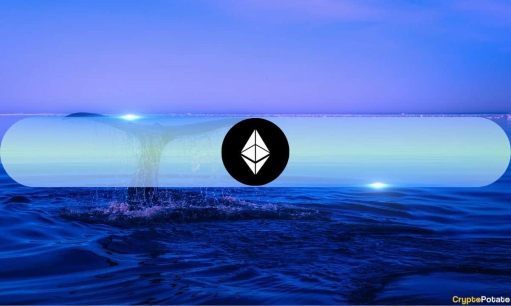 Ethereum Sharks and Whales Are Back: What Does it Mean for ETH’s Price? Ethereum Sharks and Whales Are Back: What Does it Mean for ETH’s Price?